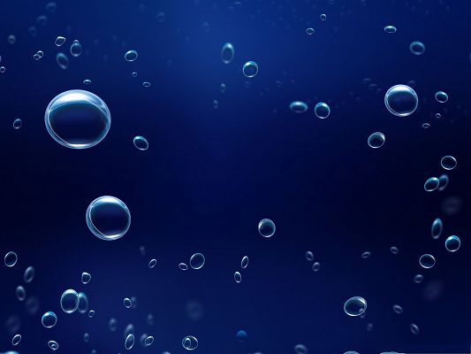 click to free download the wallpaper--Free Water Drops Wallpaper, Various Sized Bubbles, Fresh Look