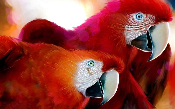 Free Scenery Wallpaper - Includes Two Parrots in Red Fur, Fit for All Users!,click to download