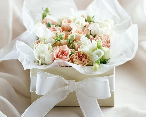 Free Scenery Wallpaper - Includes White and Pink Roses, Sure the Viewers Will be Touched!,click to download