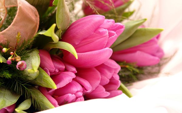 Free Scenery Wallpaper - Includes a Bundle of Fancy Pink Flowers, Fit for Any User!,click to download