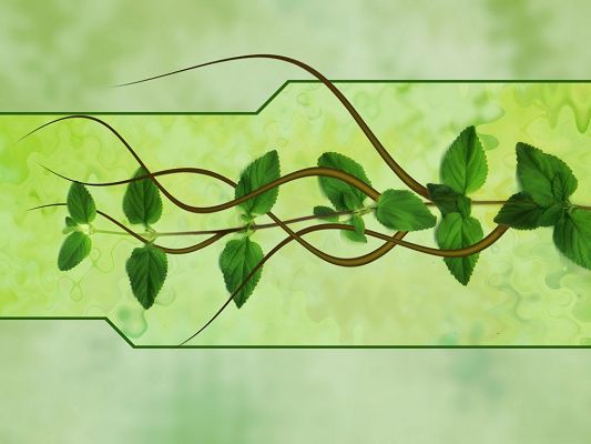 Free Wallpaper - Includes Green Plants and Its Vines, A Must Have for Frequent Computer Users!,click to download