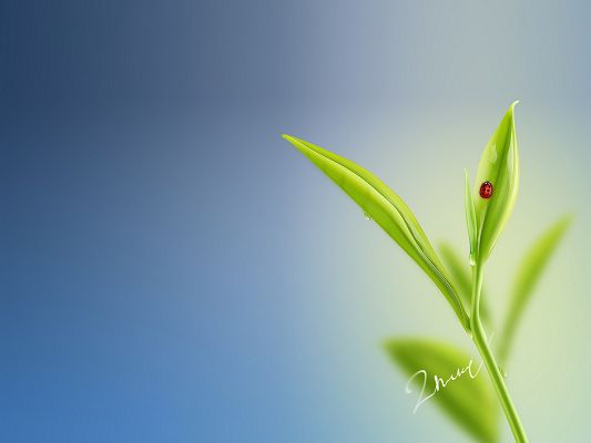 Free Wallpaper - The Most Impressive for Its Simplicity and Clearance!,click to download