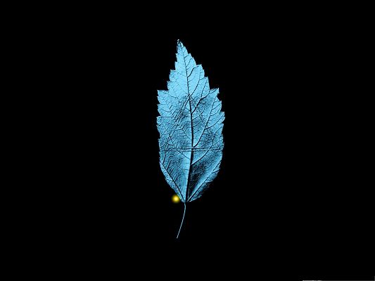 click to free download the wallpaper--Fringe TV Series Background, Lighted Up Leaf on Dark Background, Great Look