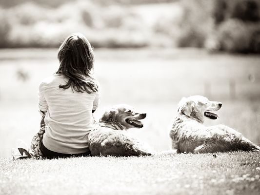 click to free download the wallpaper--Girl With Dogs, Staying Outdoor, Two Guardian Angels, Feel Safe and Good