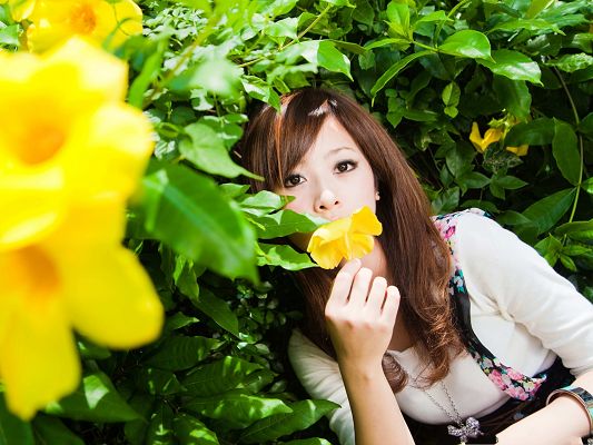 click to free download the wallpaper--Girl and Nature, Young Lady Outdoor, Smell the Yellow Flower