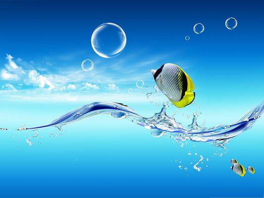 click to free download the wallpaper--HD Animals Wallpaper, Fish Jumping Out of The Water, Get Fresh Air