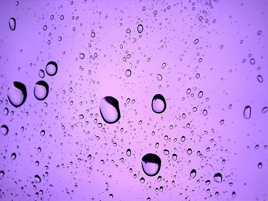 click to free download the wallpaper--HD Wide Wallpaper - Rain Drops Bring in Rainy Mood, Various Sizes