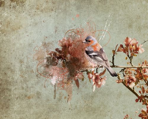 click to free download the wallpaper--Hand-Drawn Cute Animals, a Bird Standing on a Branch, Unwilling to Leave the Blooming Flowers