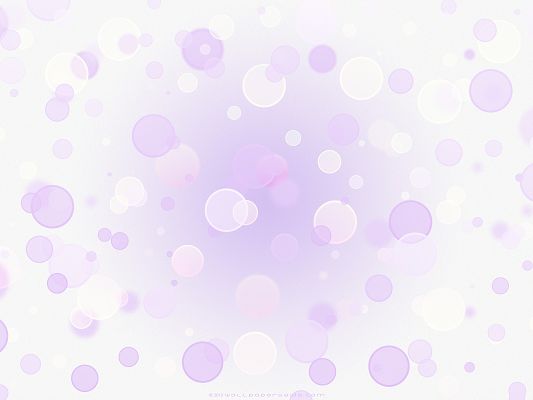 click to free download the wallpaper--High Quality Wide Wallpaper - Purple Circles on White Background