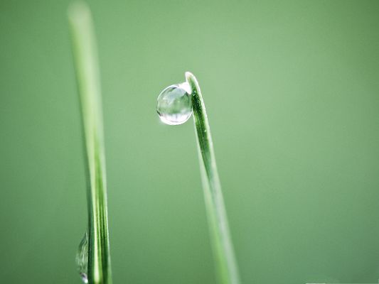 click to free download the wallpaper--High Resolution Wallpapers, Water Droplet on Green Grass, Nice and Impressive