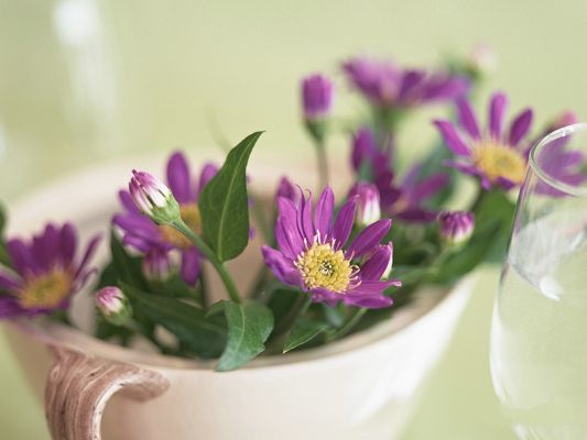 click to free download the wallpaper--Images of Floral Design, Purple Flowers in White Pot, Decent Flower