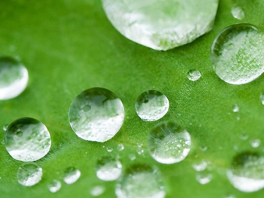 click to free download the wallpaper--Images of Nature Landscape, Small Drops on a Green Leaf, Fresh and Clean Scene