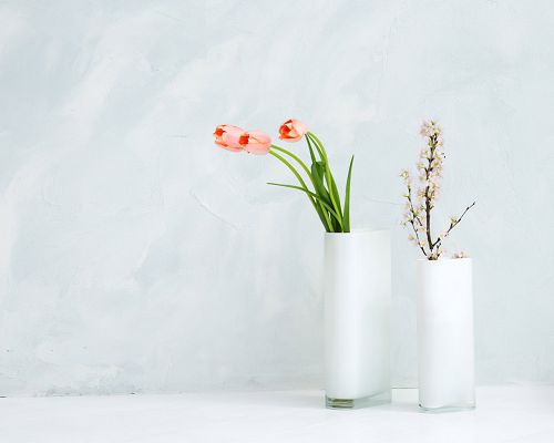 click to free download the wallpaper---Including Two Branches of Flowers, a Purely White Setting, Striking as Simple and Stylishing Item - Indoor Flower HD Wallpaper 