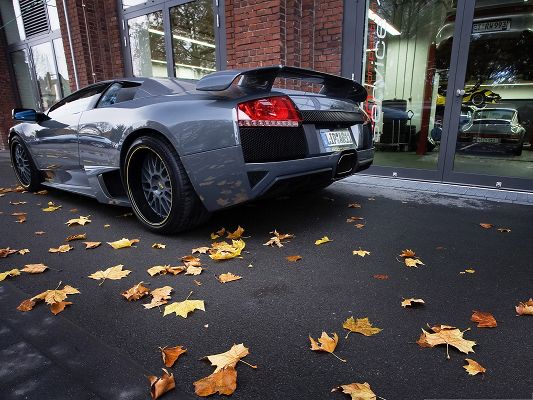 click to free download the wallpaper--Lamborghini Sport Cars, Gray Super Car in Autumn Landscape, Fallen Leaves