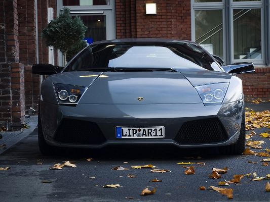 click to free download the wallpaper--Lamborghini Sport Cars Wallpaper, Super Car Among Autumn Scene, Great Look