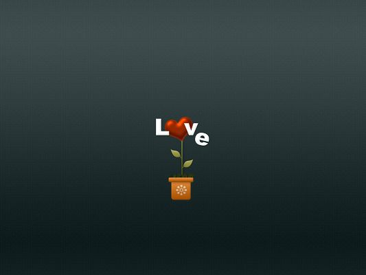 click to free download the wallpaper--Lovely Wallpaper, a Love Flower, Heart is Blooming