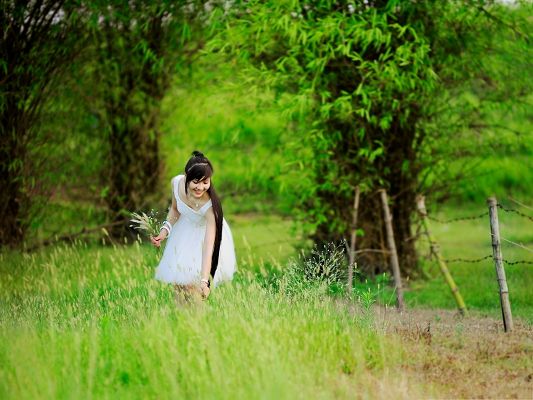 click to free download the wallpaper--Man and Nature, Beautiful Young Lady Picking Up Flowers, Impressive Smile
