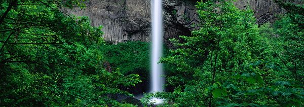 click to free download the wallpaper--Natural Scenery picture - A White Waterfall Going Down, Surrounded by Green Trees, Like a Lightning