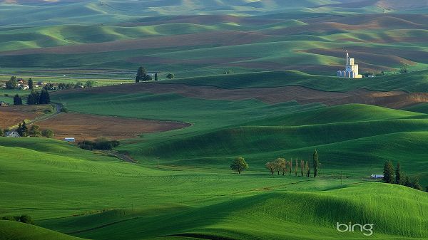 click to free download the wallpaper--Natural Scenery picture - Green Fields with Ups and Downs, Tall and Green Trees All Over