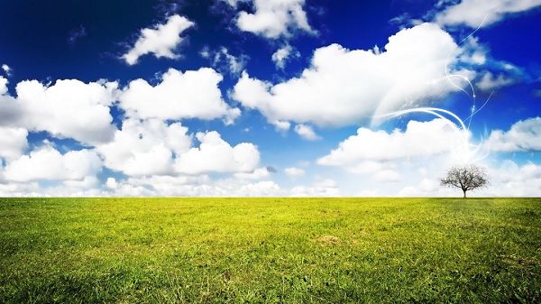 click to free download the wallpaper--Natural Scenery pictures - The Green Wheets Under the Incredibly Blue Sky, White Clouds As Decoration