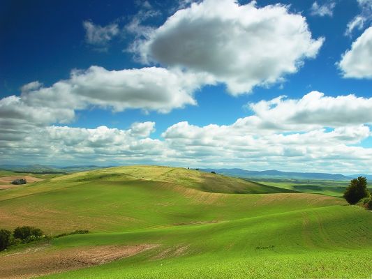 click to free download the wallpaper--Natural Spring Landscape, Green Grass Under the Blue Cloudless Sky