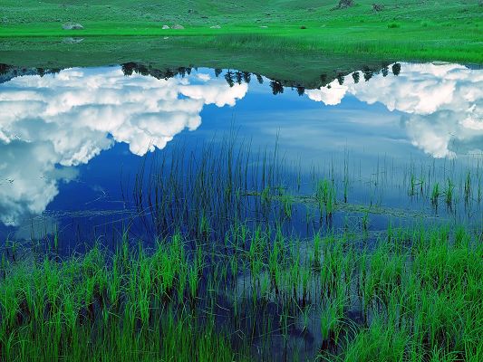 click to free download the wallpaper--Nature Landscape Image, Sky Reflected in the Sea, Green Grass Around, Summer Scene