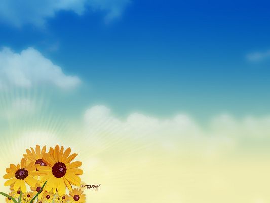 click to free download the wallpaper--Nature Landscape Image, Sun Flowers Smiling Toward the Sky, the Incredibly Blue Sky