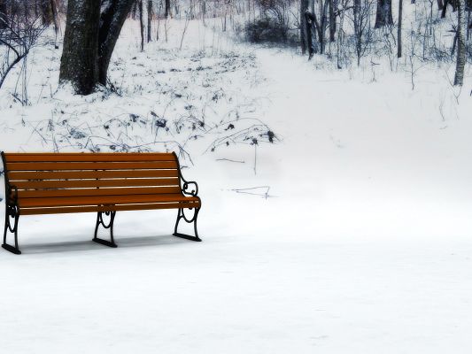 click to free download the wallpaper--Nature Landscape Image, a Wooden Bench in the Snowy World, Free from Snow