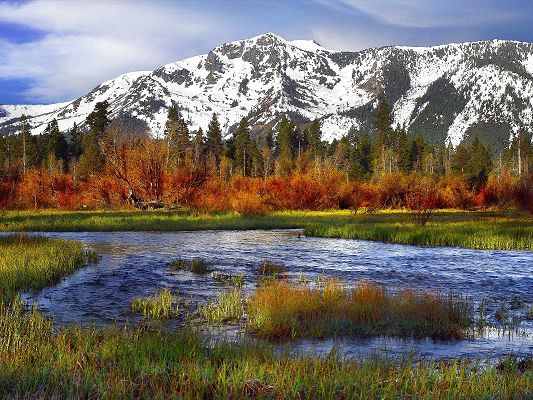 click to free download the wallpaper--Nature Landscape Pic, Rapid River and Snow-Capped Mountains, Green Trees in the Stand