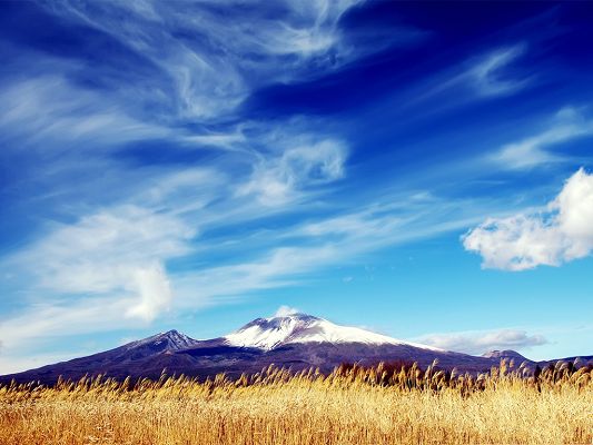 click to free download the wallpaper--Nature Landscape Pics, Yellow and Ripe Wheats Under the Blue Sky