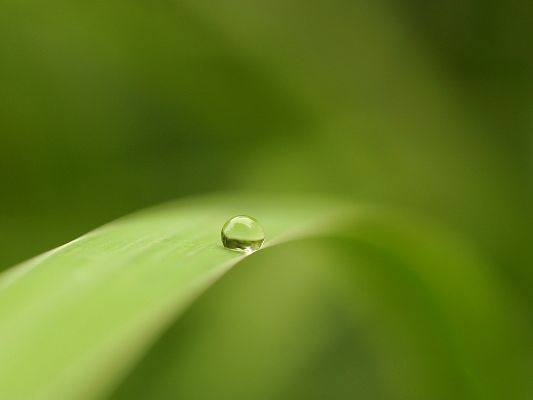click to free download the wallpaper--Nature Landscape Pics, a Crystal Clear Rain Drop on a Green Leaf, Be Around Long
