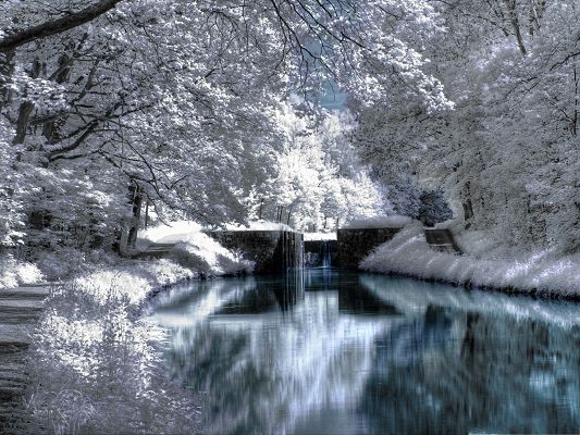 click to free download the wallpaper--Nature Landscape in Winter, Welcome to the White and Pure World