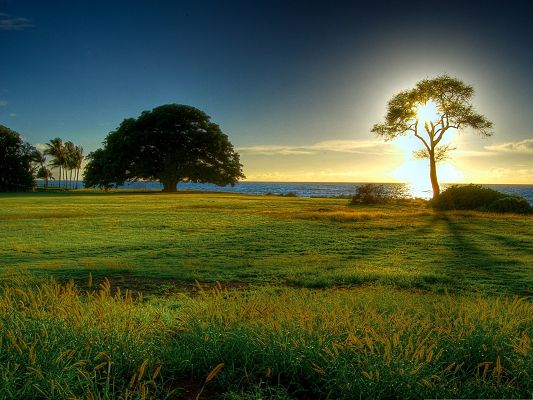 click to free download the wallpaper--Nature Landscape in the Morning, the Peaceful Sea and the Blue Sky, Endless Green Grass