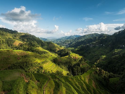 click to free download the wallpaper--Nature Landscape of the World, Green and Tall Mountains in Philippines 