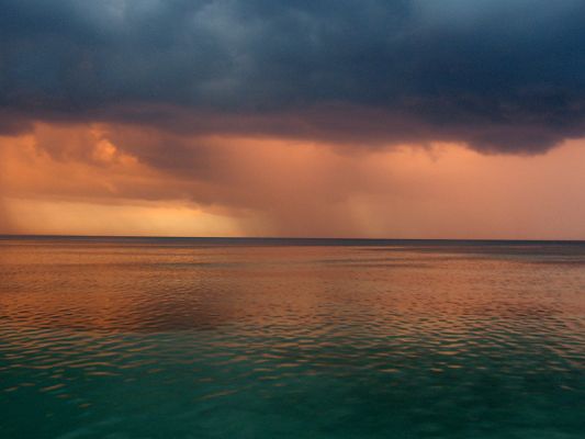 click to free download the wallpaper--Nature Landscape of the World, Jamaican Rain, the Pink Sky, Find a Shelter