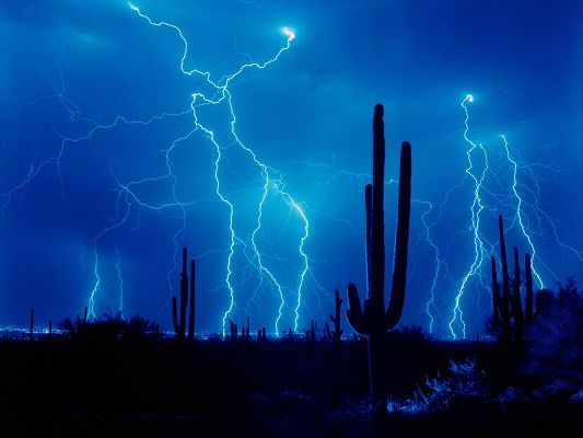 click to free download the wallpaper--Pics of Nature Landscape, Cactus Under the Blue Sky and Lightning, Tough and Brave