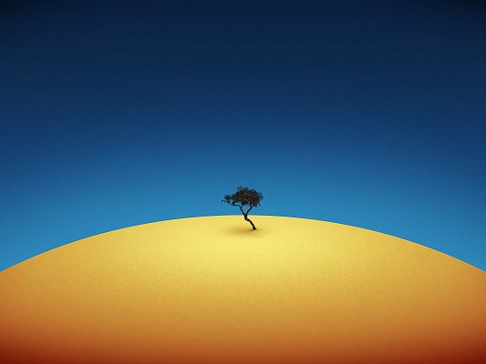 click to free download the wallpaper--Pics of Nature Landscape, an Isolated Tree Among Yellow Desert, the Blue Sky