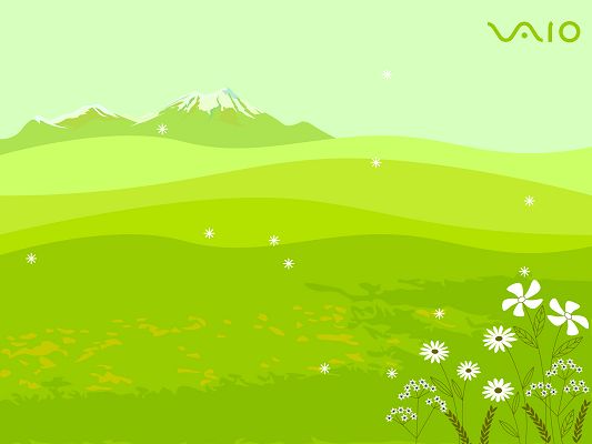 click to free download the wallpaper--Sony VAIO HD Post in Pixel of 1600x1200, Green Plants and Grass, Falling Snow, It is a Great and Easy to Apply Scene - TV & Movies Post