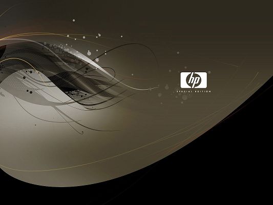 click to free download the wallpaper--Top Brandy Post, HP Logo in Special Edition, is Impressive and Fit