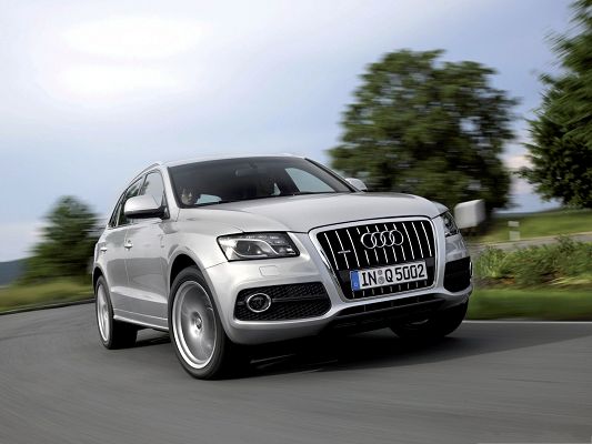 click to free download the wallpaper--Top Cars Picture, Silver Audi Q5 in Fast Run, Tall Green Trees Alongside