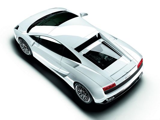 click to free download the wallpaper--Top Cars as Wallpaper, White Lamborghini Sport Car in Stop, Dark Shadow