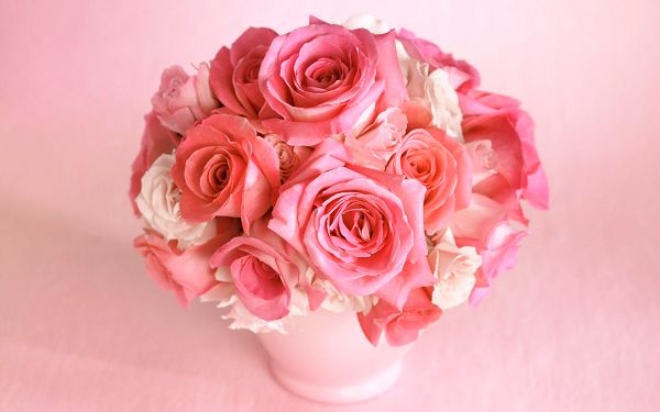 click to free download the wallpaper--Valentine Bouquet HD Post in Pixel of 1920x1200, All Pink Flowers in Full Bloom, Background is Pink, One Shall be Happy in Romance - HD Natural Scenery Wallpaper