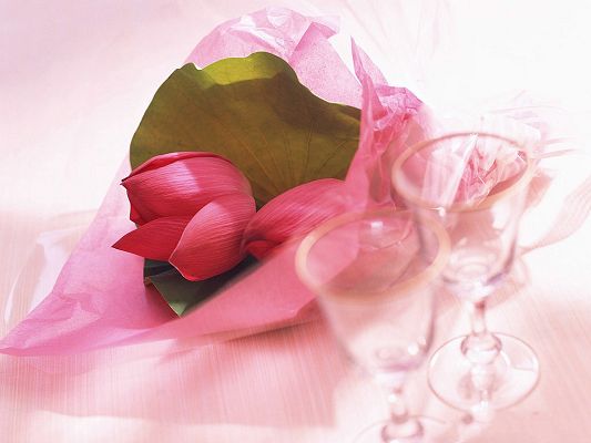 click to free download the wallpaper--Valentine's Day  Gift, Pink Flowers in Bud, Shy and Romantic Love