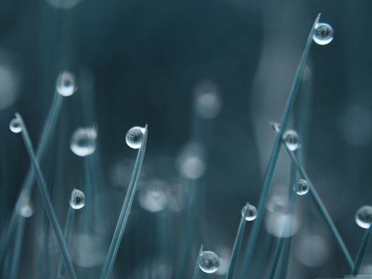 click to free download the wallpaper--Wallpaper Computer Background, Clear Waterdrops on Grass, Dark Gray Setting