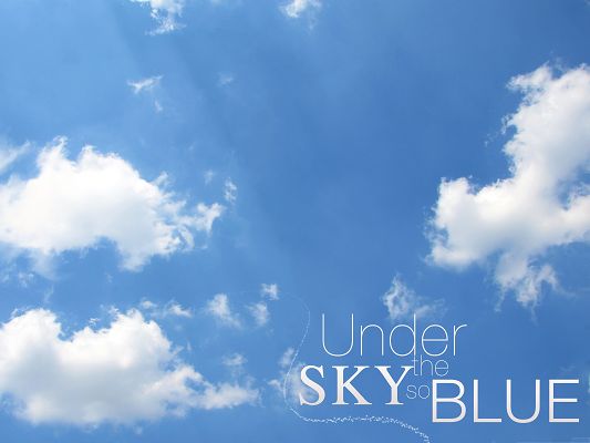 click to free download the wallpaper--Wallpaper Computer Background, Under the Sky, It is So Blue and Beautiful