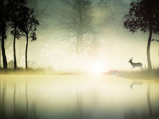 click to free download the wallpaper--Wallpaper for Computer, Deer Near a Lake, Slowly Walking