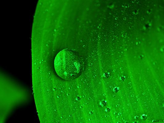click to free download the wallpaper--Wallpaper for Desktop Computer, Water Drop on Green Leaf, Fresh and Clean Scenery