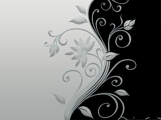 Wallpaper for Widescreen - Beautiful Vector Flowers, Working Great as Computer Wallpaper