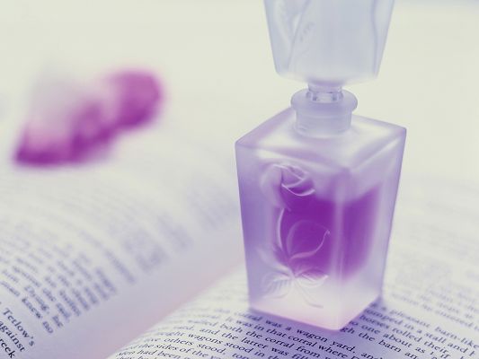 click to free download the wallpaper--Wallpaper for Widescreen HD - Violet Perfume, Books Are Pleasant to Read