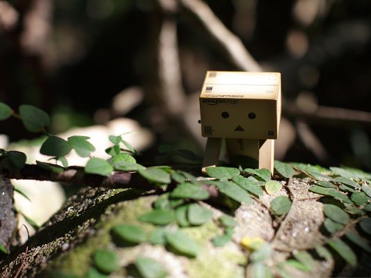 click to free download the wallpaper--Wallpapers for Computer Free, Little Danbo Bending Down, Looking Carefully at the Leaves